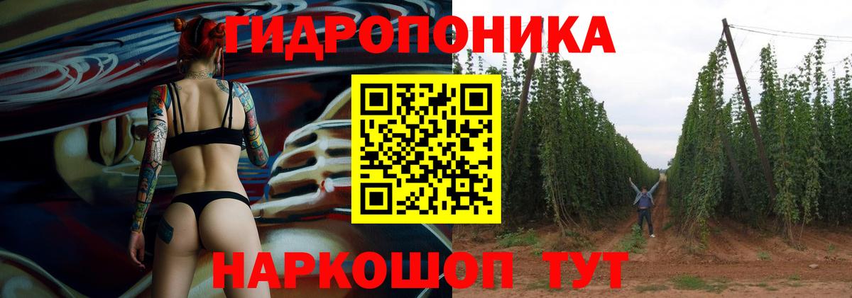 Холмск  Конопля конопля  Конопля VHQ  Вход с VPN 